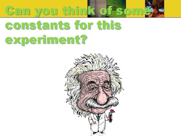 Can you think of some constants for this experiment? Can you think of some constants for this experiment?