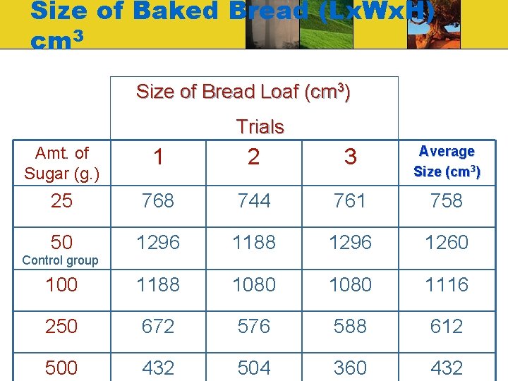 Size of Baked Bread (Lx. Wx. H) cm 3 Size of Bread Loaf (cm Size of Baked Bread (Lx. Wx. H) cm 3 Size of Bread Loaf (cm