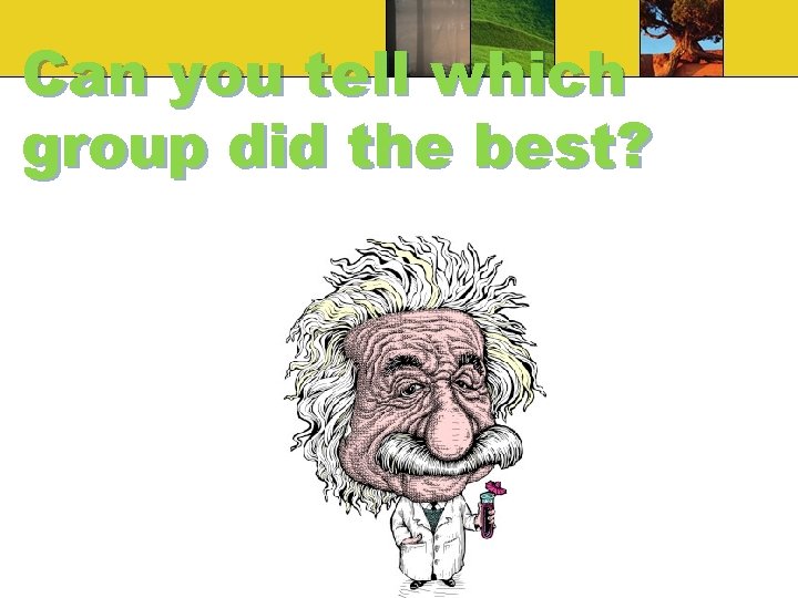 Can you tell which group did the best? Can you tell which group did the best?
