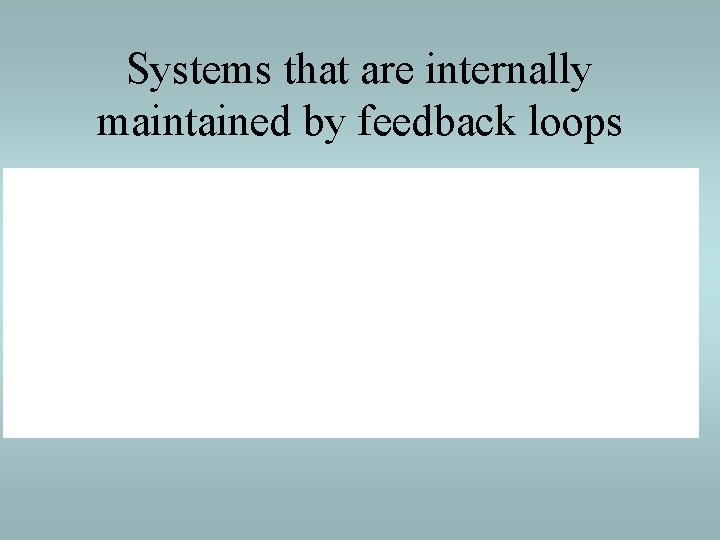 Systems that are internally maintained by feedback loops 