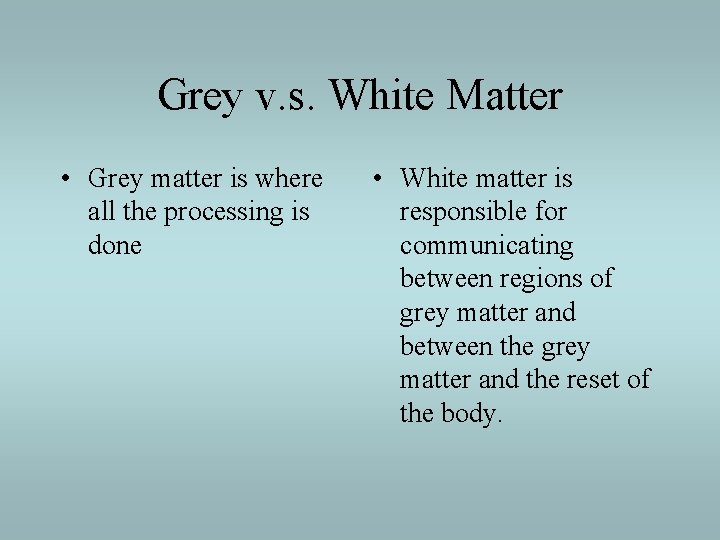 Grey v. s. White Matter • Grey matter is where all the processing is