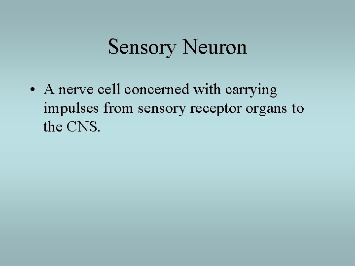 Sensory Neuron • A nerve cell concerned with carrying impulses from sensory receptor organs