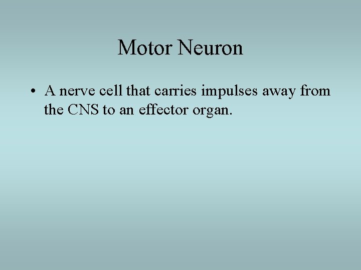 Motor Neuron • A nerve cell that carries impulses away from the CNS to
