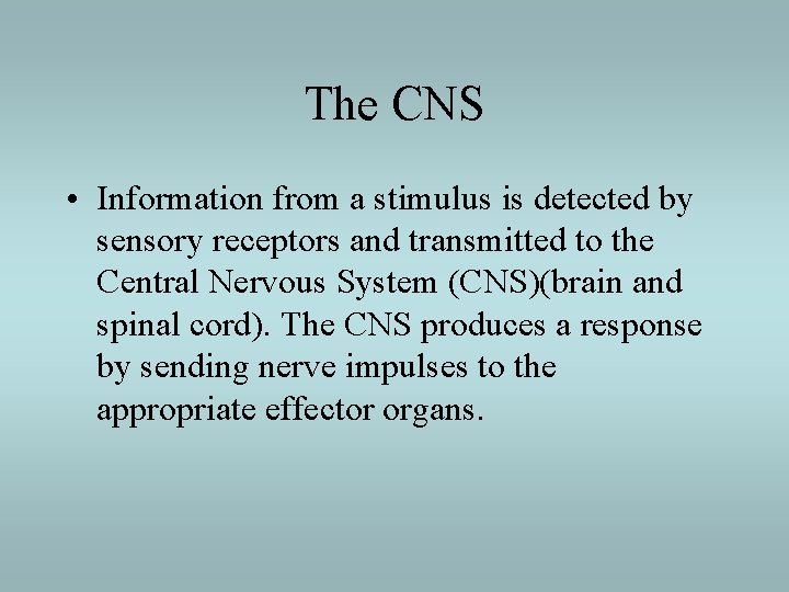 The CNS • Information from a stimulus is detected by sensory receptors and transmitted
