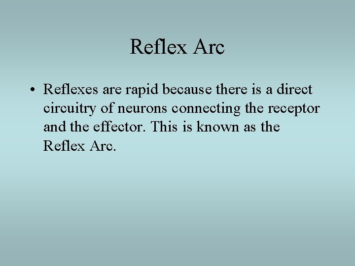 Reflex Arc • Reflexes are rapid because there is a direct circuitry of neurons