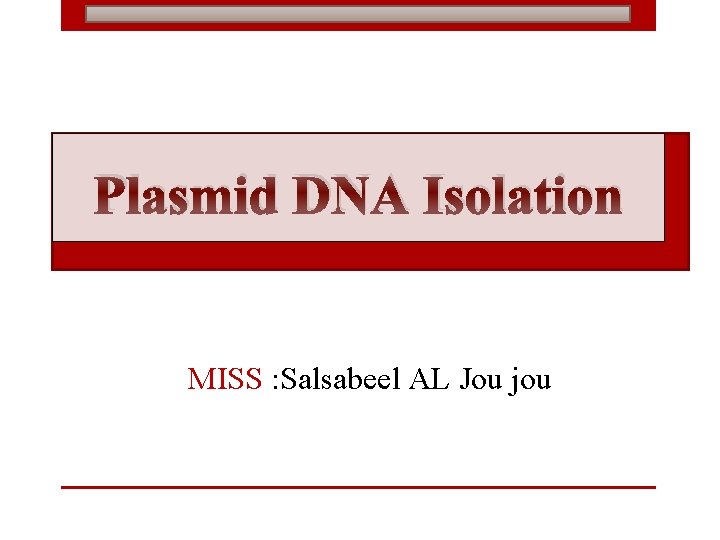 Plasmid DNA Isolation MISS : Salsabeel AL Jou jou 