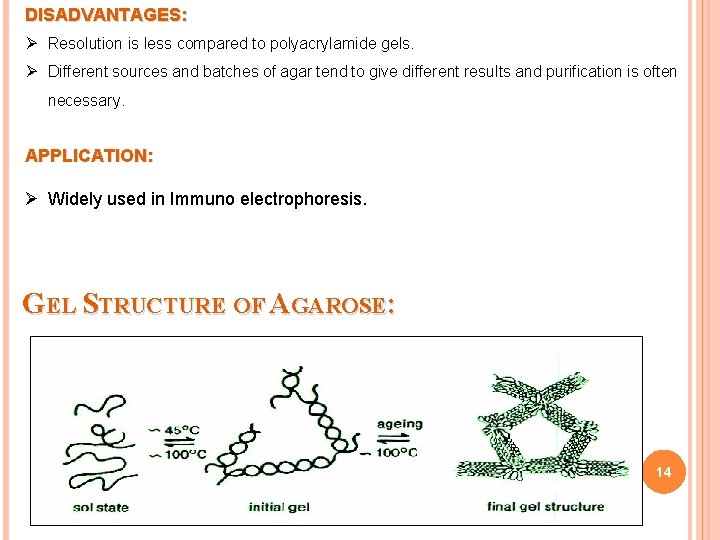 DISADVANTAGES: Ø Resolution is less compared to polyacrylamide gels. Ø Different sources and batches