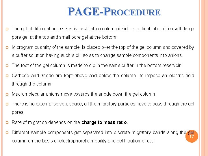 PAGE-PROCEDURE The gel of different pore sizes is cast into a column inside a