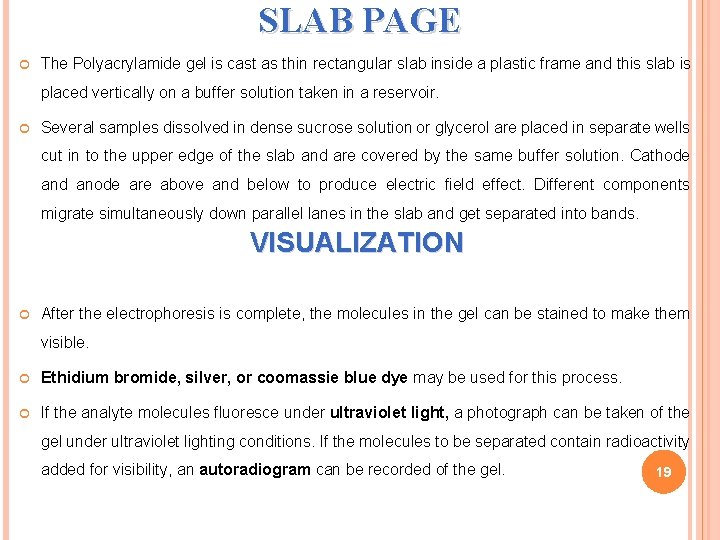 SLAB PAGE The Polyacrylamide gel is cast as thin rectangular slab inside a plastic