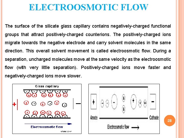 ELECTROOSMOTIC FLOW The surface of the silicate glass capillary contains negatively-charged functional groups that