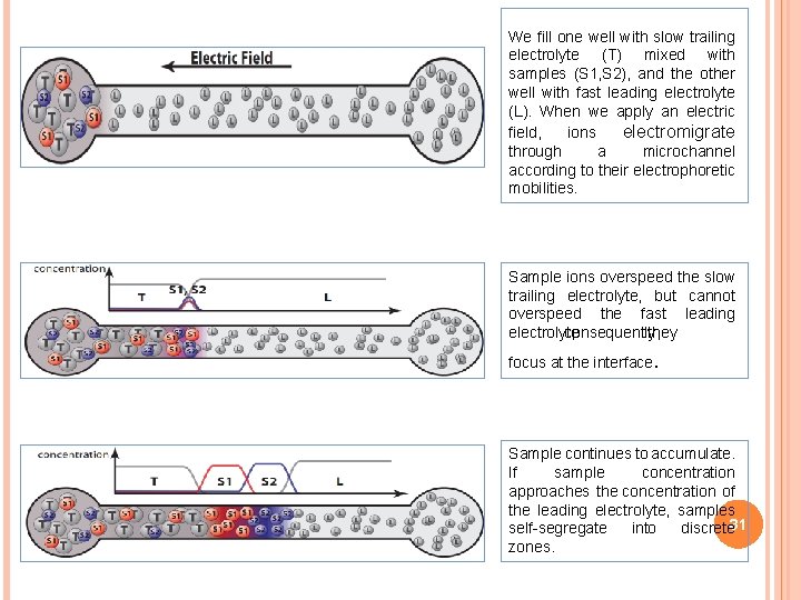 We fill one well with slow trailing electrolyte (T) mixed with samples (S 1,