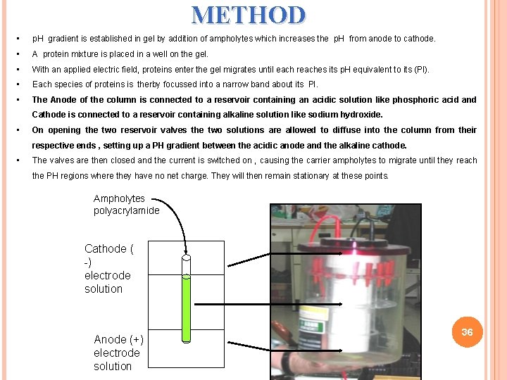 METHOD • p. H gradient is established in gel by addition of ampholytes which