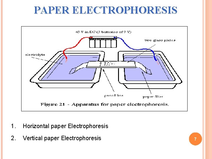 PAPER ELECTROPHORESIS 1. Horizontal paper Electrophoresis 2. Vertical paper Electrophoresis 7 