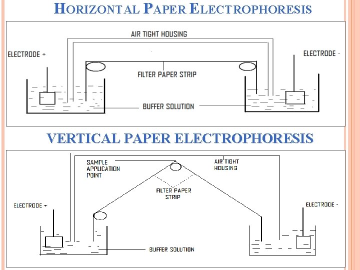 HORIZONTAL PAPER ELECTROPHORESIS VERTICAL PAPER ELECTROPHORESIS 8 