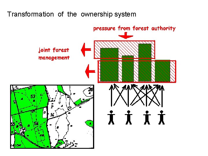 Transformation of the ownership system 