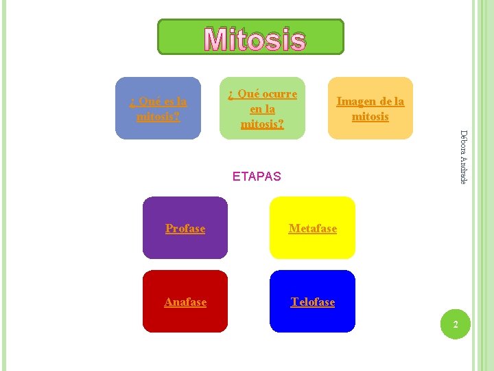 Mitosis ¿ Qué es la mitosis? ¿ Qué ocurre en la mitosis? Imagen de