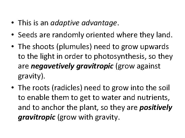  • This is an adaptive advantage. • Seeds are randomly oriented where they