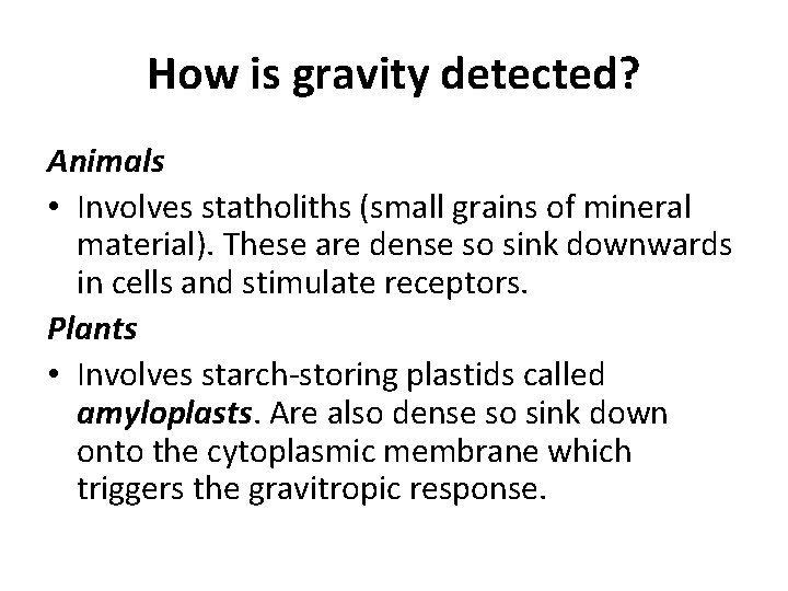 How is gravity detected? Animals • Involves statholiths (small grains of mineral material). These