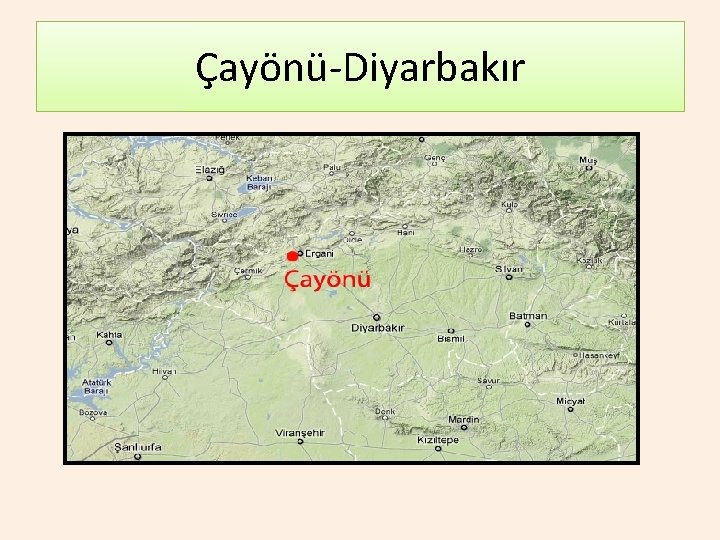 Çayönü-Diyarbakır 