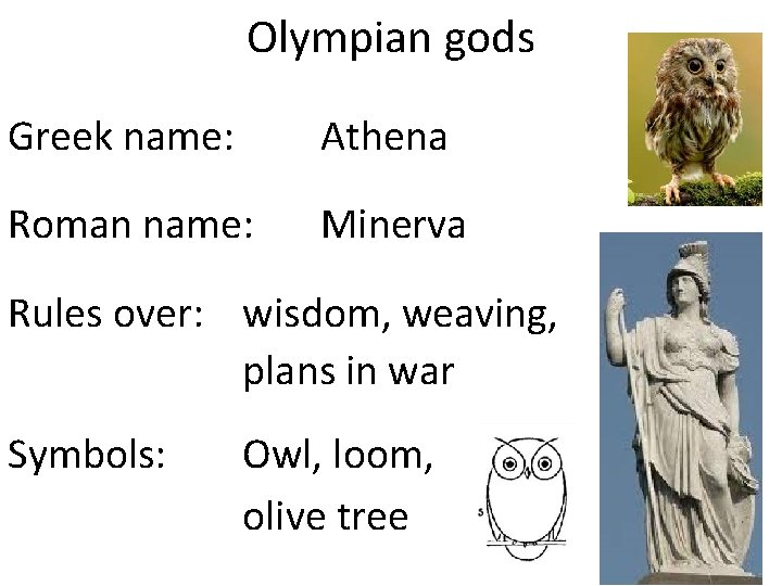 Olympian gods Greek name: Athena Roman name: Minerva Rules over: wisdom, weaving, plans in