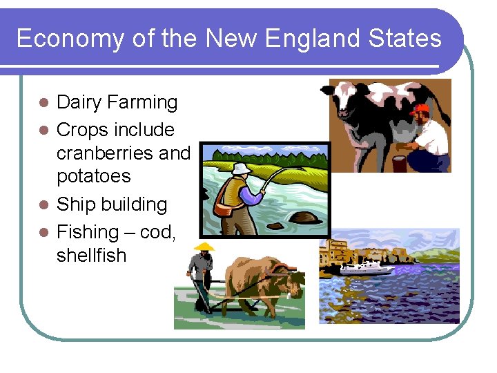Economy of the New England States Dairy Farming l Crops include cranberries and potatoes