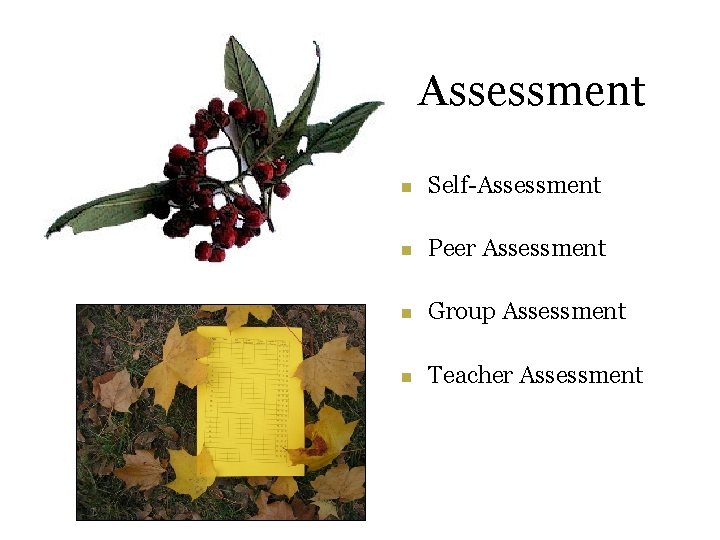 Assessment n Self-Assessment n Peer Assessment n Group Assessment n Teacher Assessment 