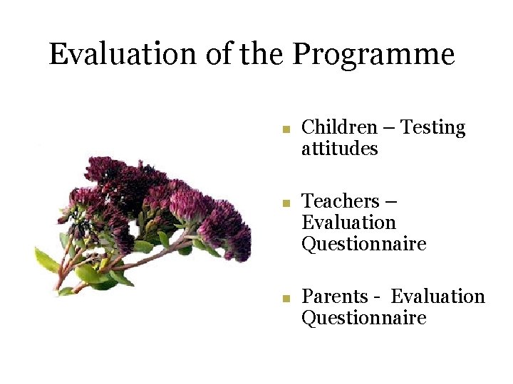 Evaluation of the Programme n n n Children – Testing attitudes Teachers – Evaluation