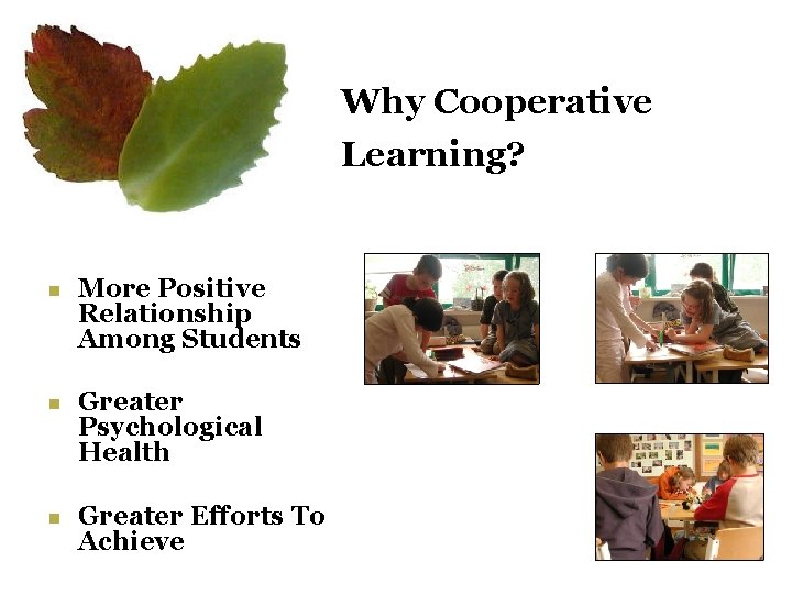 Why Cooperative Learning? n n n More Positive Relationship Among Students Greater Psychological Health