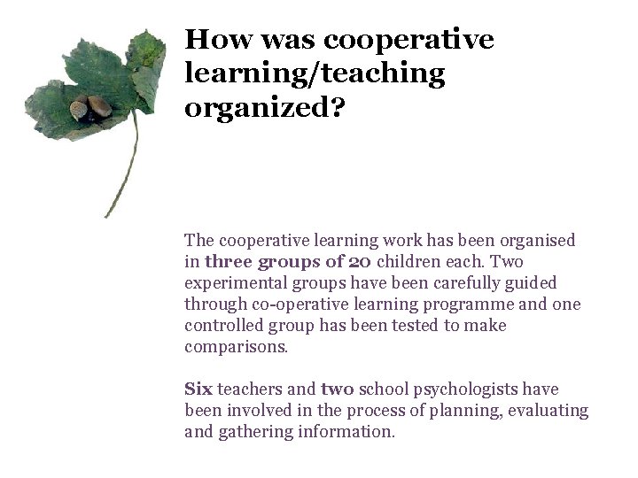 How was cooperative learning/teaching organized? The cooperative learning work has been organised in three