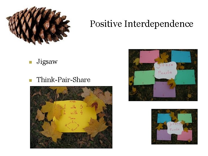 Positive Interdependence n Jigsaw n Think-Pair-Share 