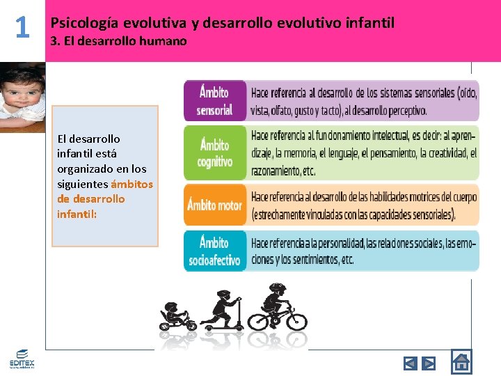 1 Psicología evolutiva y desarrollo evolutivo infantil 3. El desarrollo humano El desarrollo infantil
