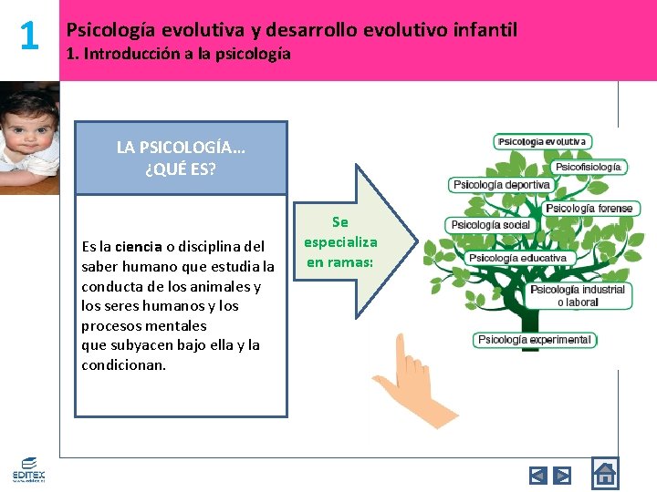 1 Psicología evolutiva y desarrollo evolutivo infantil 1. Introducción a la psicología LA PSICOLOGÍA…