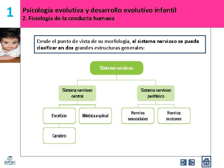 1 Psicología evolutiva y desarrollo evolutivo infantil 2. Fisiología de la conducta humana Desde