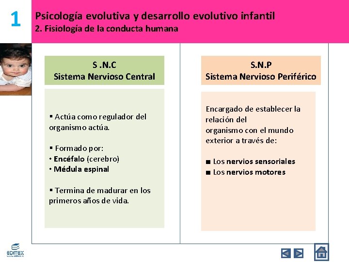 1 Psicología evolutiva y desarrollo evolutivo infantil 2. Fisiología de la conducta humana S.