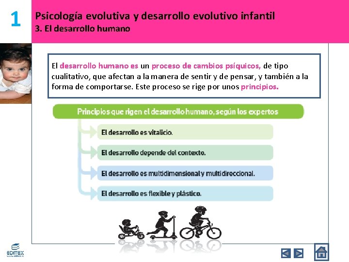 1 Psicología evolutiva y desarrollo evolutivo infantil 3. El desarrollo humano es un proceso