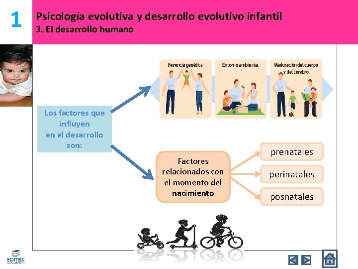 1 Psicología evolutiva y desarrollo evolutivo infantil 3. El desarrollo humano Los factores que