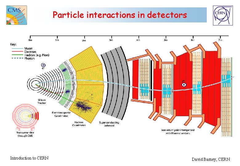 Particle interactions in detectors Introduction to CERN David Barney, CERN 