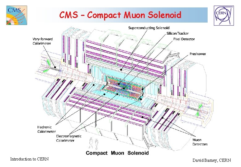 CMS – Compact Muon Solenoid Introduction to CERN David Barney, CERN 