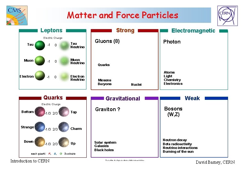 Matter and Force Particles Leptons Strong Electric Charge Tau -1 0 Tau Neutrino Muon