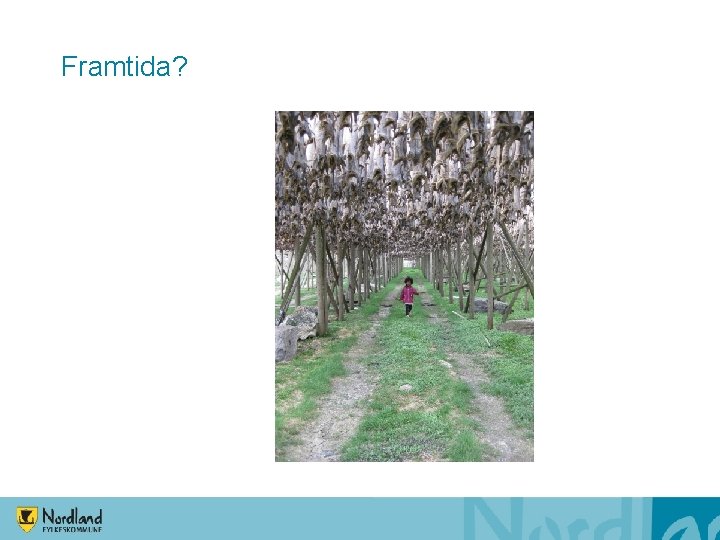 Framtida? Framtida?