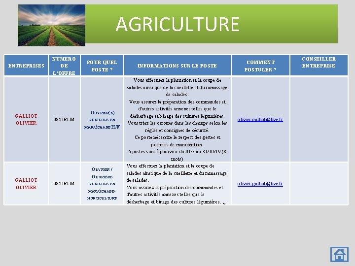 AGRICULTURE ENTREPRISES GALLIOT OLIVIER NUMERO DE L’OFFRE POUR QUEL POSTE ? OUVRIER(E) 082 JRLM