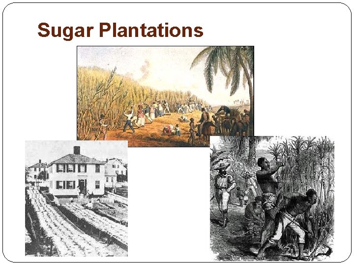 Slavery During the Industrial Revolution The Origin of