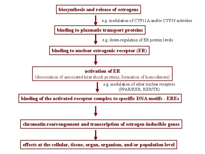 biosynthesis and release of estrogens e. g. modulation of CYP 11 A and/or CYP