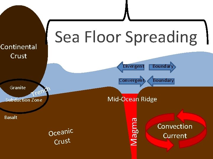 Sea Floor Spreading Continental Crust Boundary Convergent Boundary h c n e r T