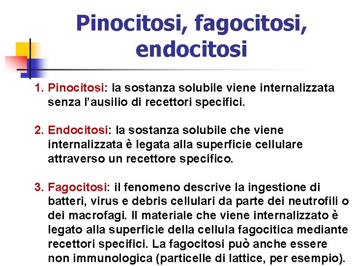 Pinocitosi, fagocitosi, endocitosi 1. Pinocitosi: la sostanza solubile viene internalizzata senza l’ausilio di recettori