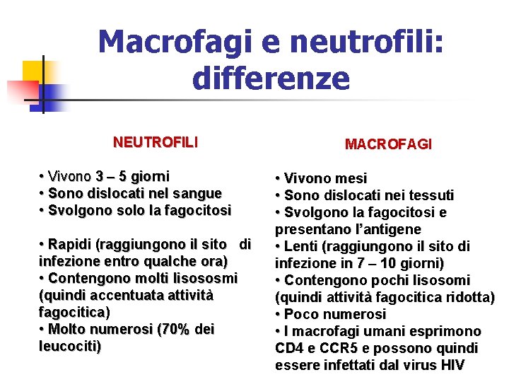 Macrofagi e neutrofili: differenze NEUTROFILI • Vivono 3 – 5 giorni • Sono dislocati