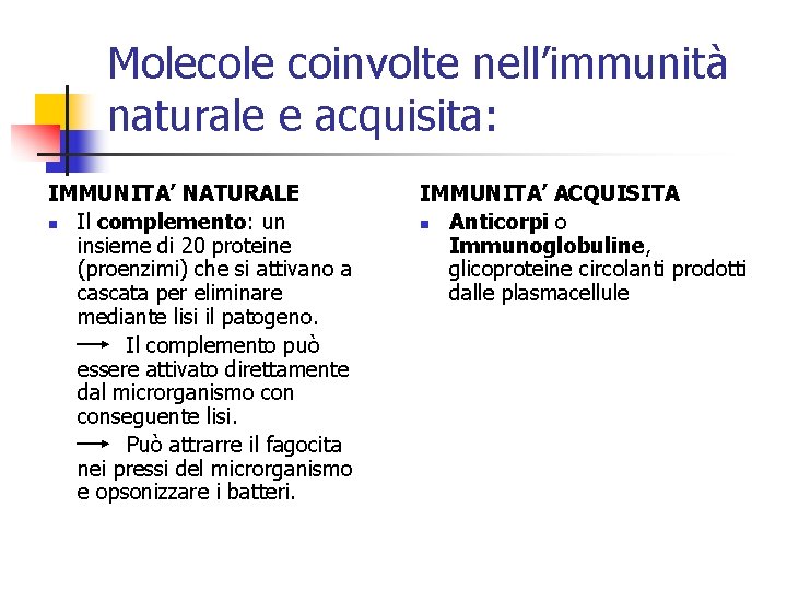 Molecole coinvolte nell’immunità naturale e acquisita: IMMUNITA’ NATURALE n Il complemento: un insieme di