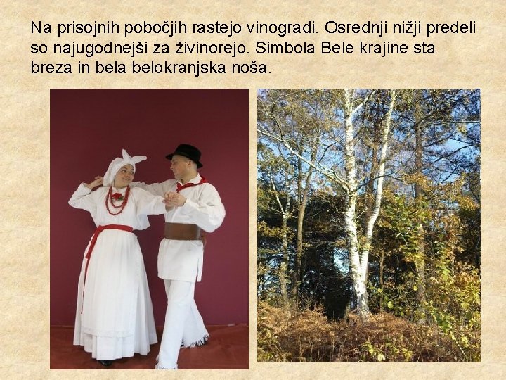 Na prisojnih pobočjih rastejo vinogradi. Osrednji nižji predeli so najugodnejši za živinorejo. Simbola Bele