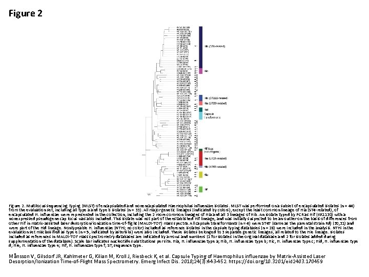 Figure 2. Multilocus sequencing typing (MLST) of encapsulated and nonencapsulated Haemophilus influenzae isolates. MLST