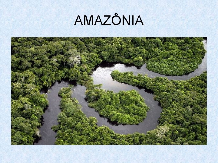 AMAZÔNIA 